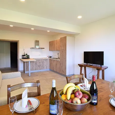 Apartment Gorgeous In With Wifi Lamon